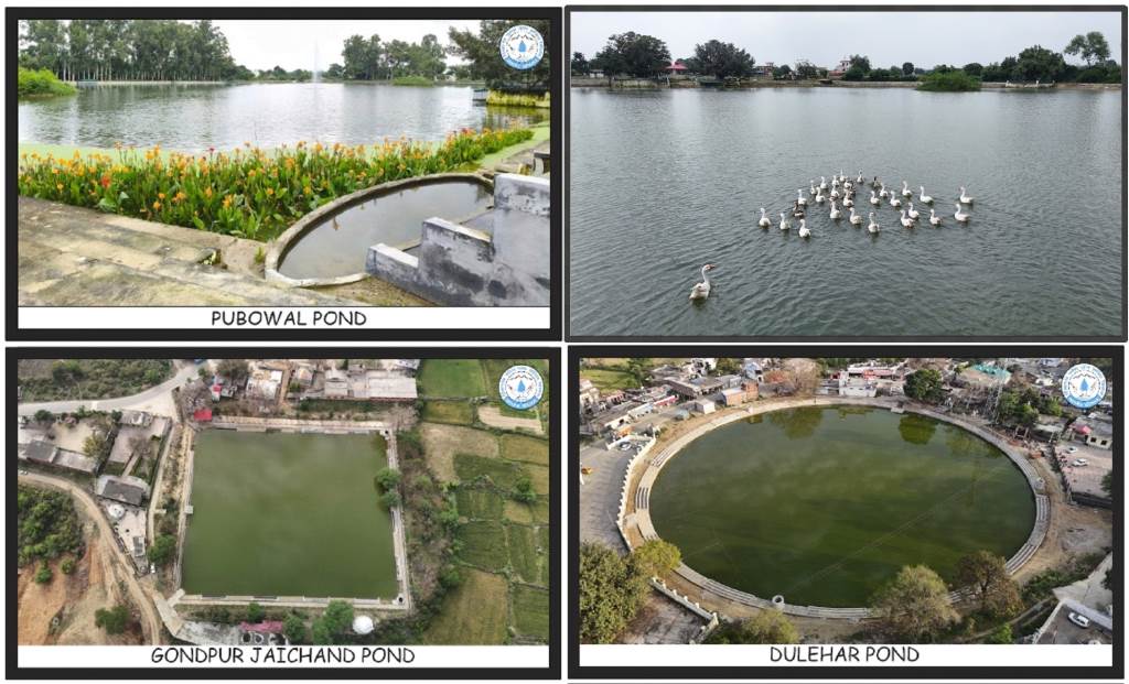 Harolis Ponds Emerging as a New Model for Water Conservation in Himachal